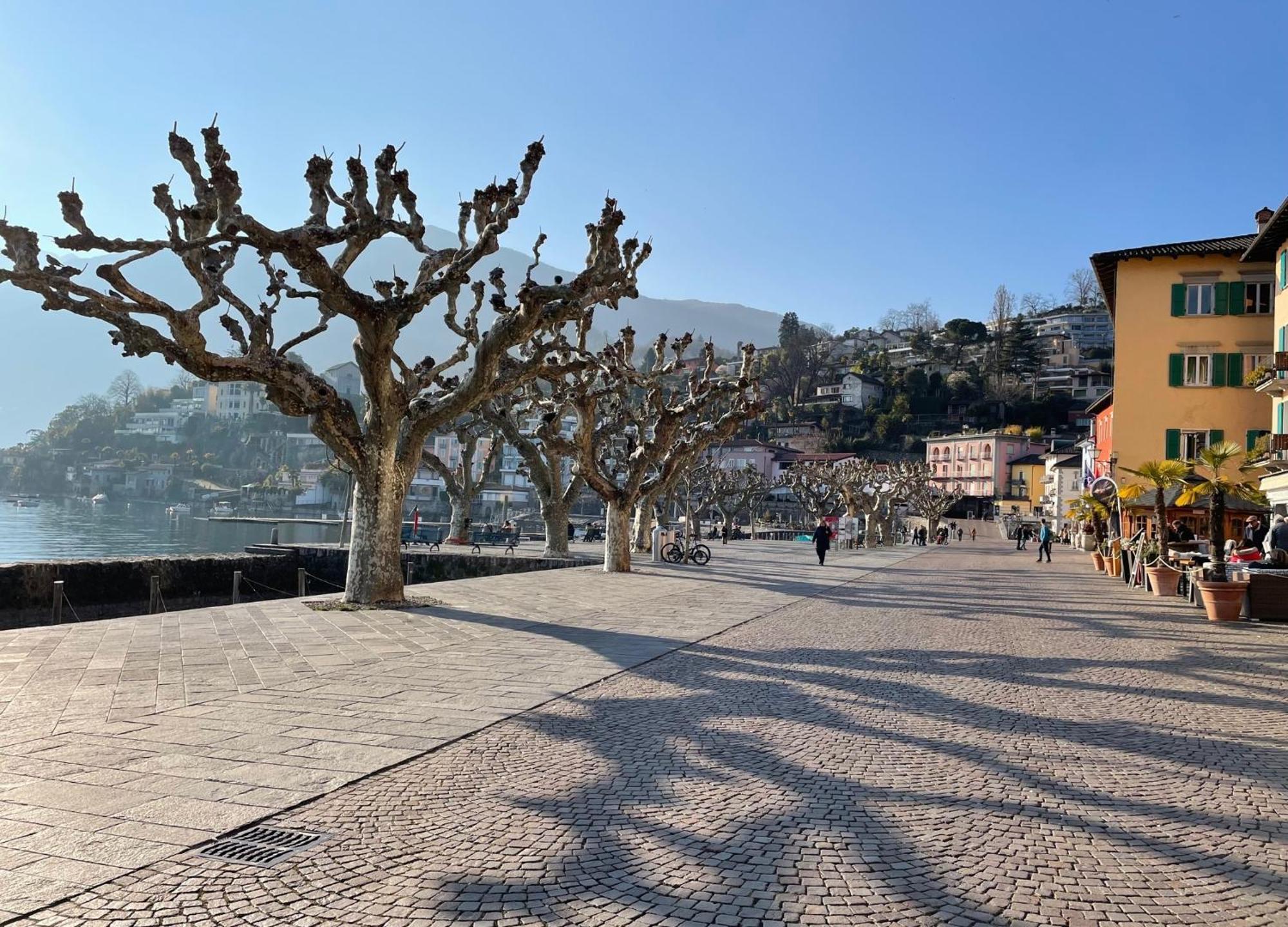 Ascona: Nostrana Apt. 2 Pokój zdjęcie
